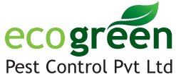 Eco Green Pest Control Pvt Ltd